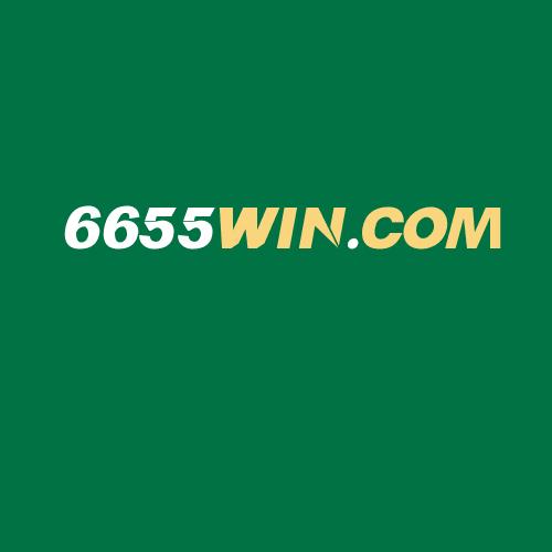 Logo da 6655WIN